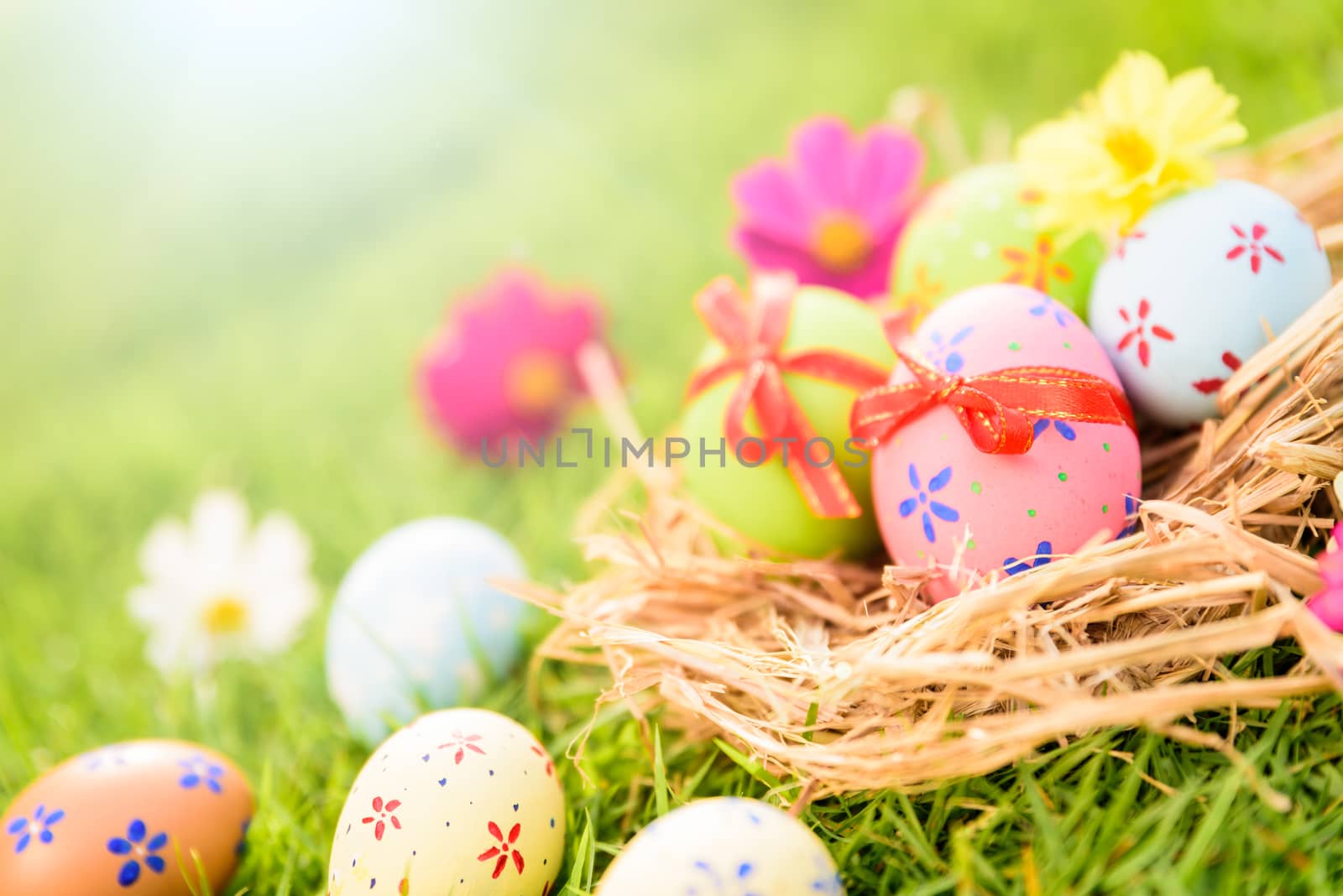 Happy easter!  Closeup Colorful Easter eggs in nest on green grass field during sunset background.