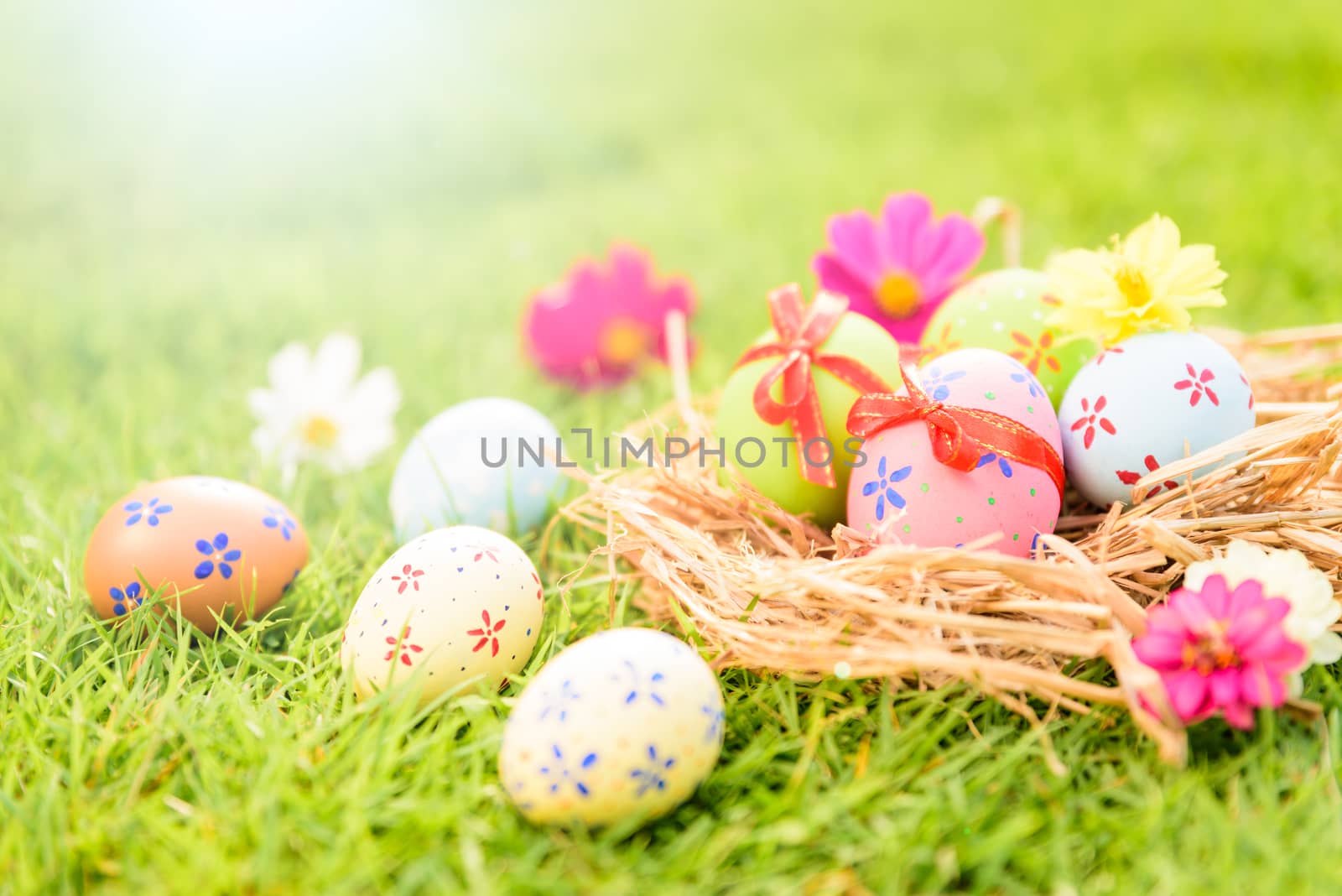 Happy easter!  Closeup Colorful Easter eggs in nest on green gra by spukkato