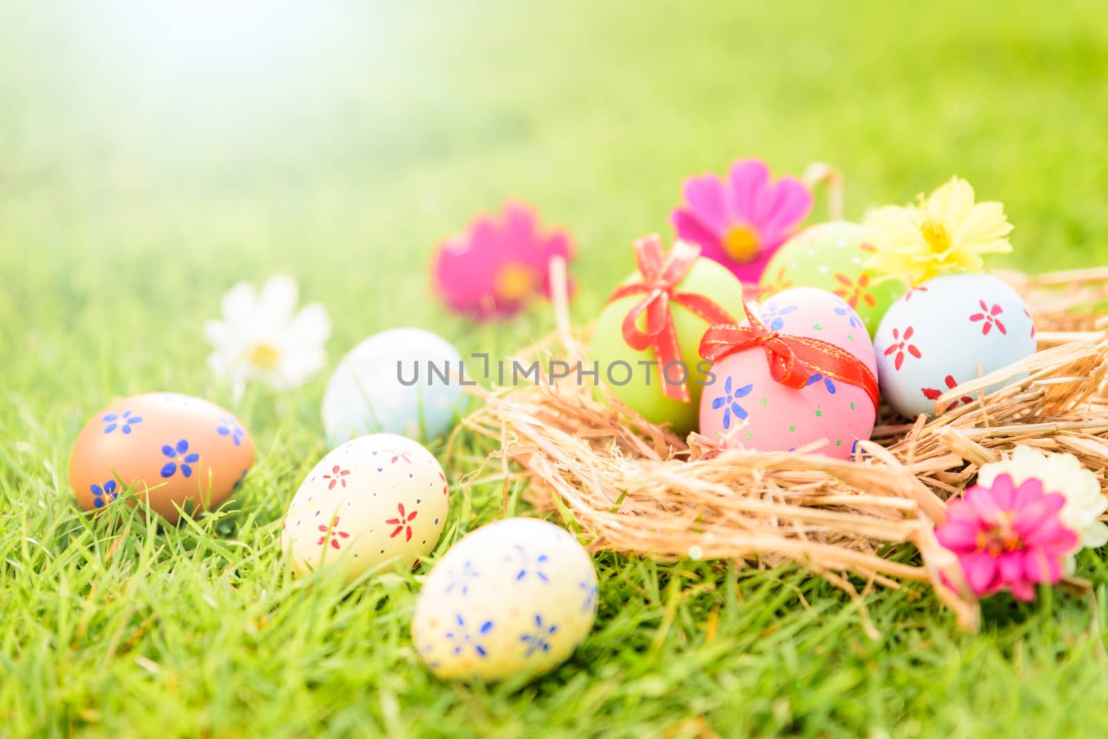 Happy easter!  Closeup Colorful Easter eggs in nest on green grass field during sunset background.