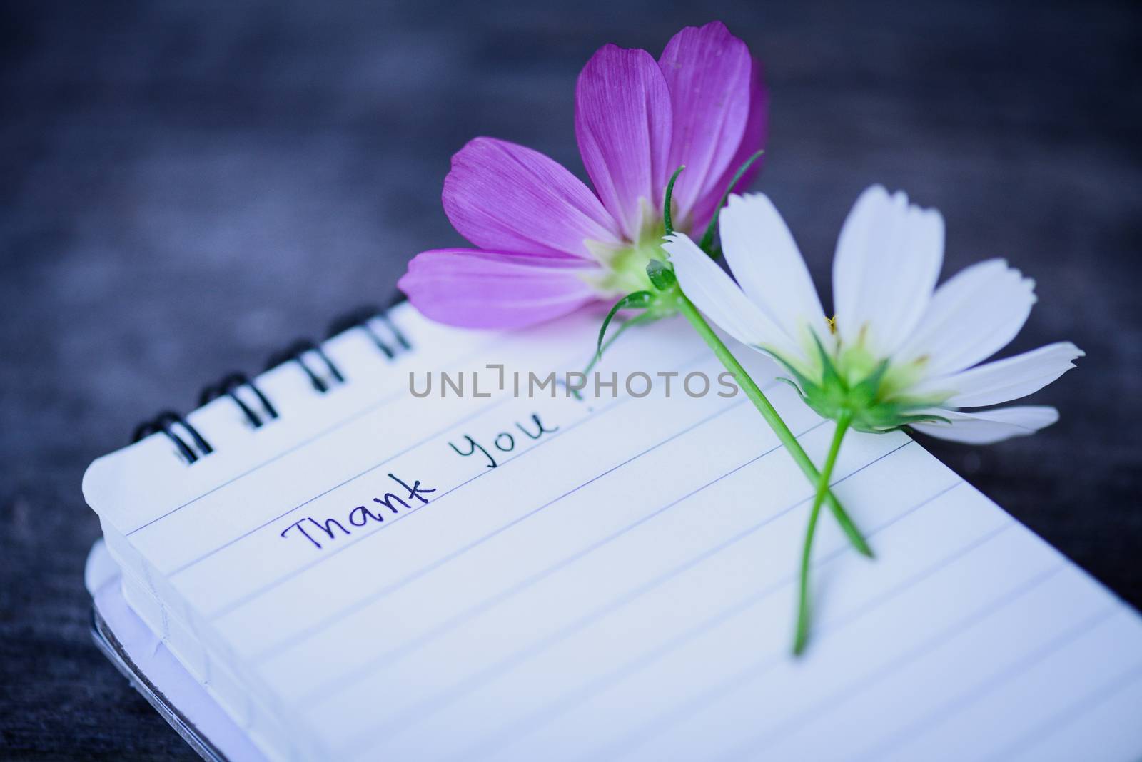 Thank You text on a white page note book with romantic white flower on wooden background.