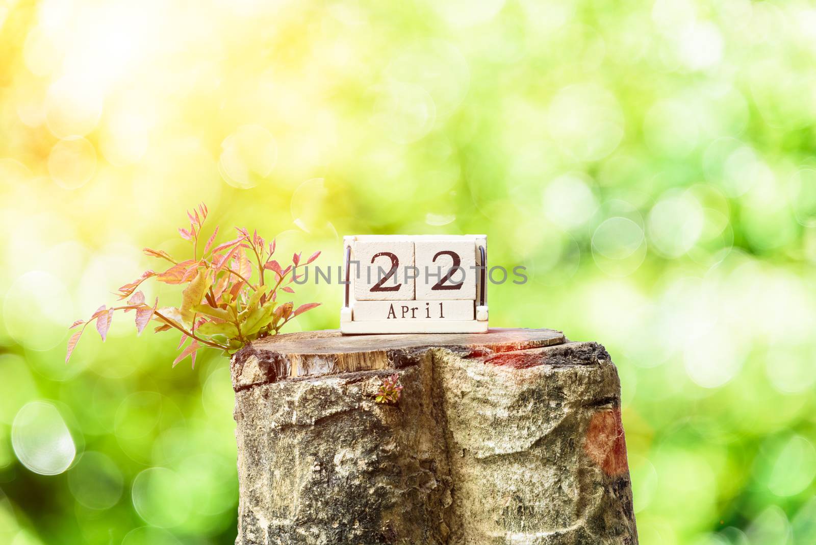 Earth Day and New Life concept. Young tree growth up on dead tree with wooden calendar 22 April on green leaf bokeh background.
