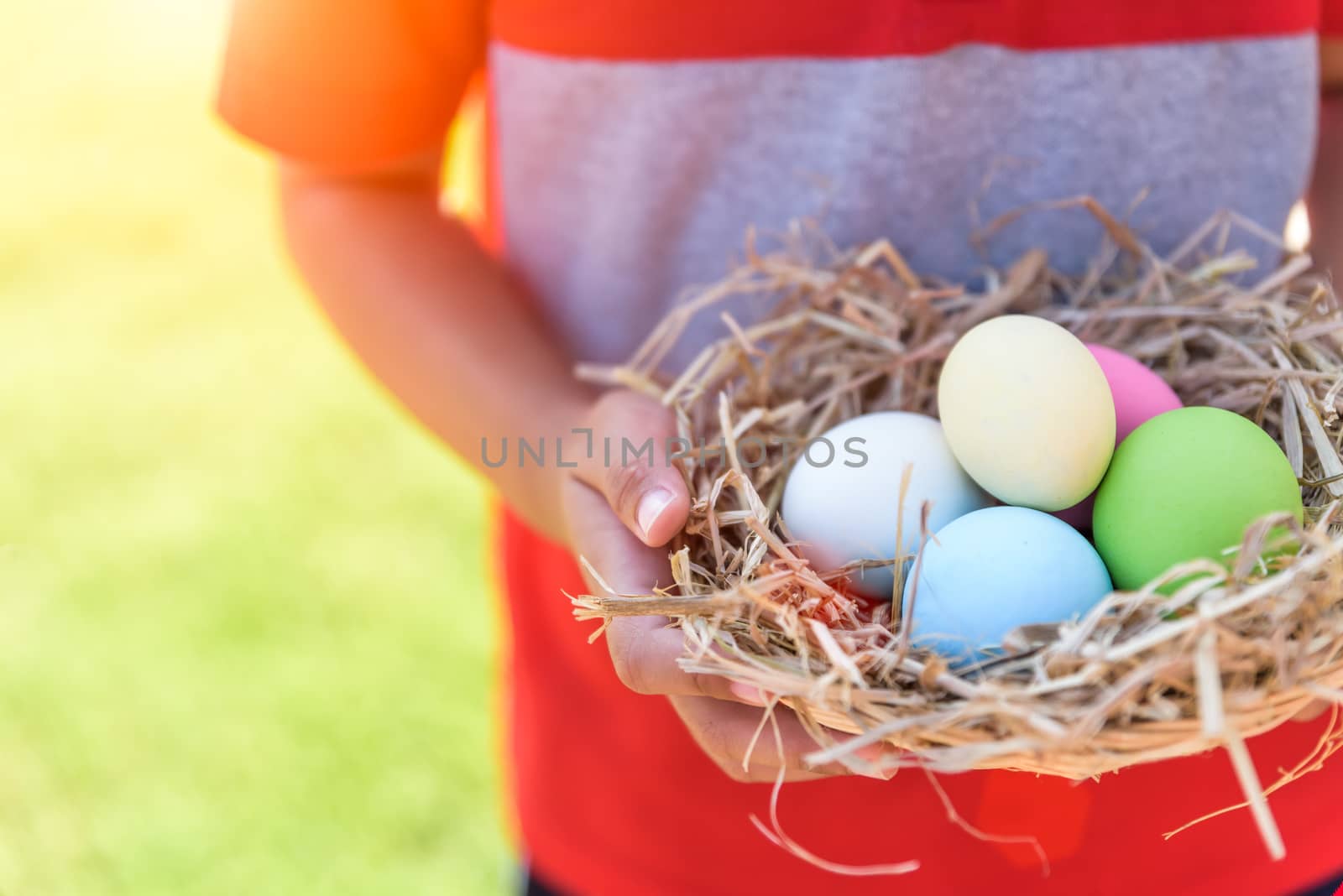 A kid holding Colorful of Easter eggs in nest on grass green bac by spukkato