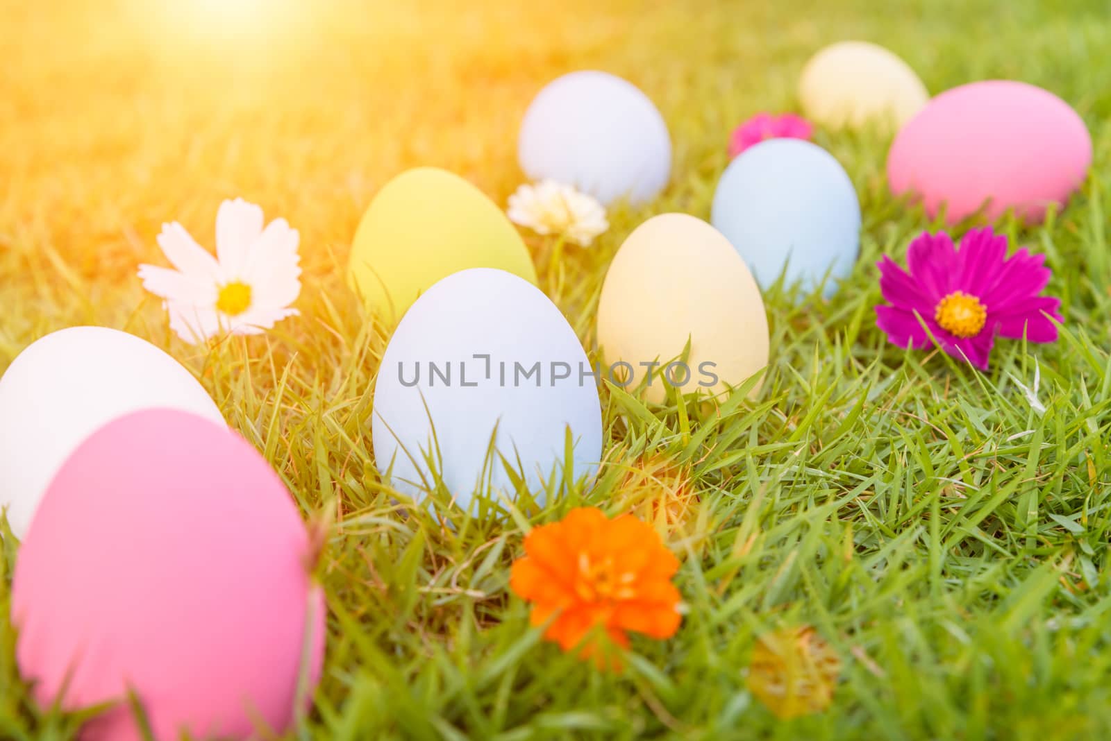 Happy easter!  Closeup Colorful Easter eggs on green grass field by spukkato