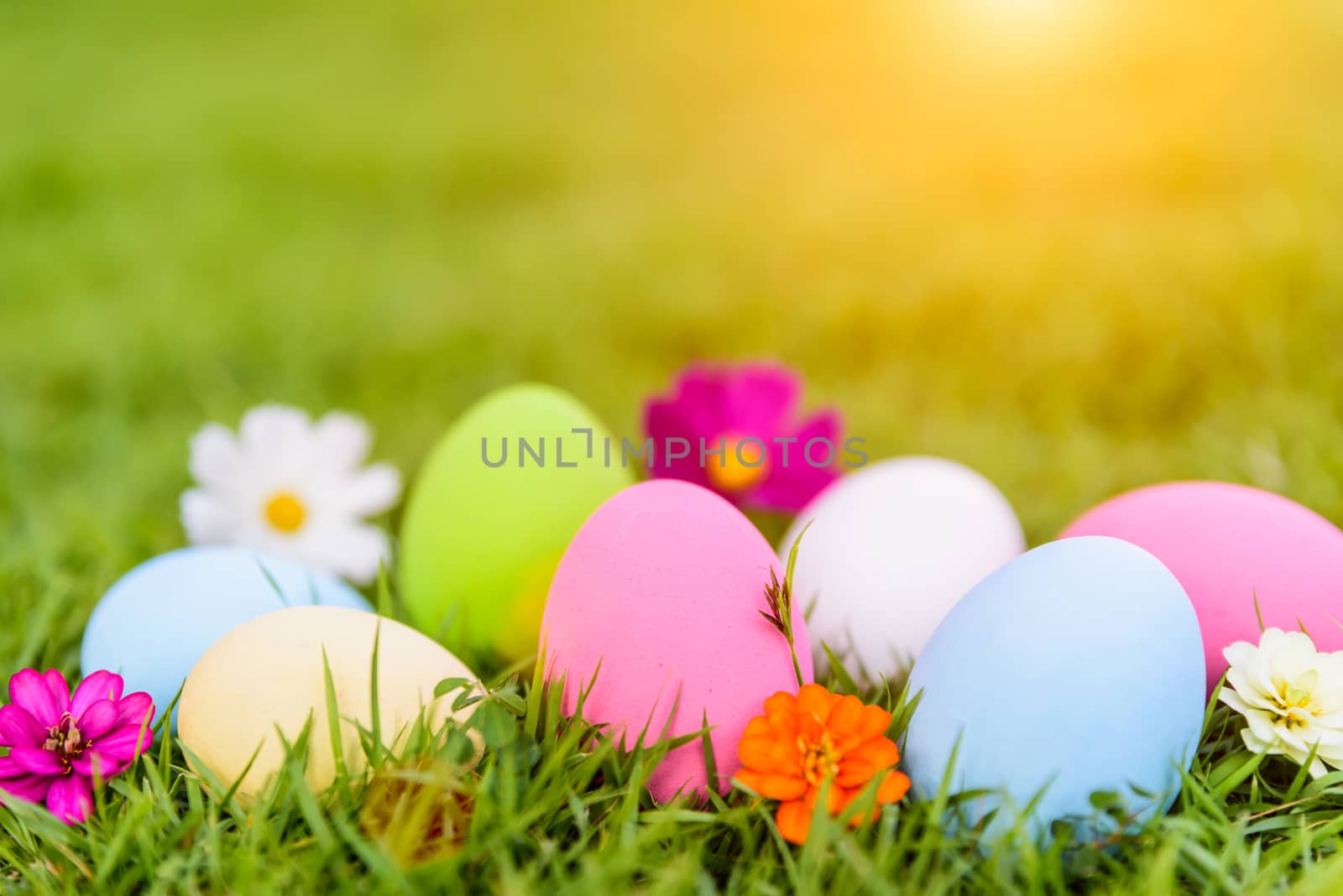 Happy easter!  Closeup Colorful Easter eggs on green grass field background.