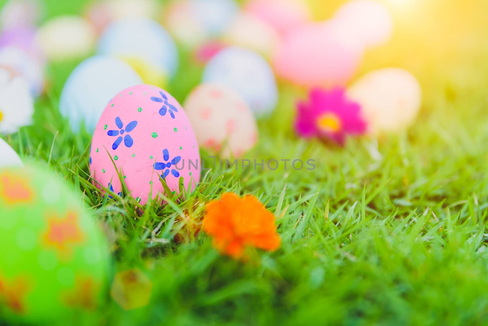 Happy easter!  Closeup Colorful Easter eggs on green grass field background.