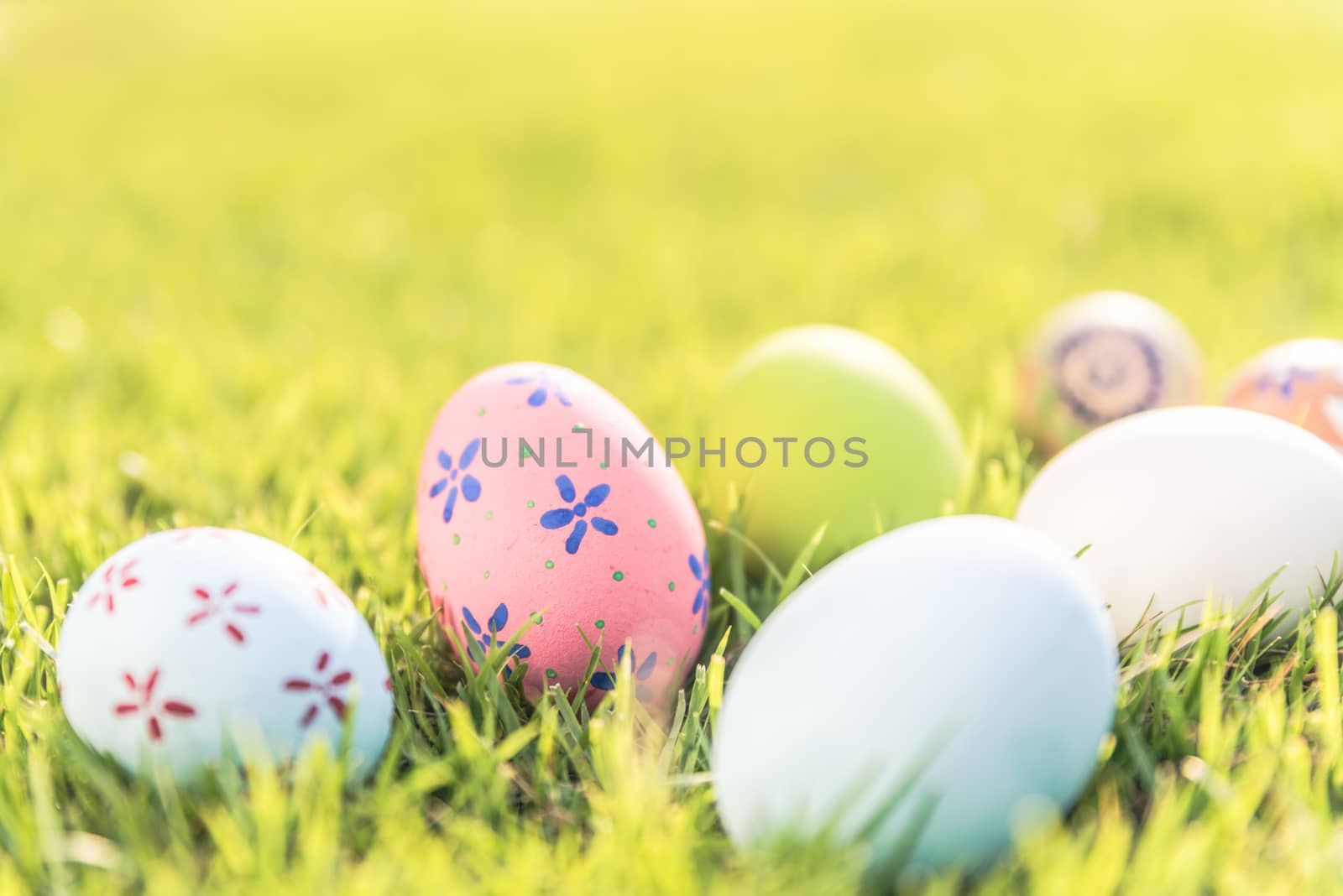Happy easter!  Closeup Colorful Easter eggs on green grass field during sunset background.