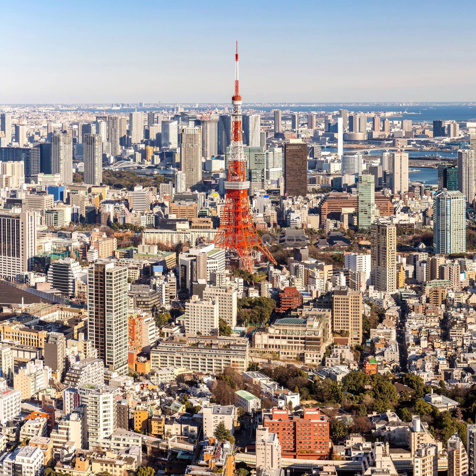 Tokyo Tower, Tokyo Japan by vichie81