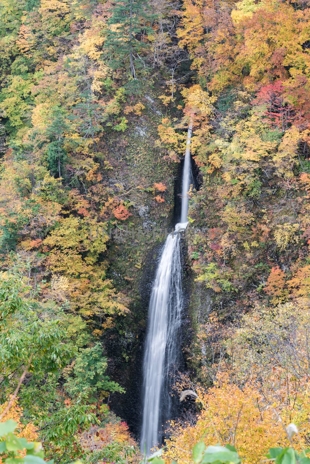 Tsumijikura Taki waterfall Fukushima by vichie81