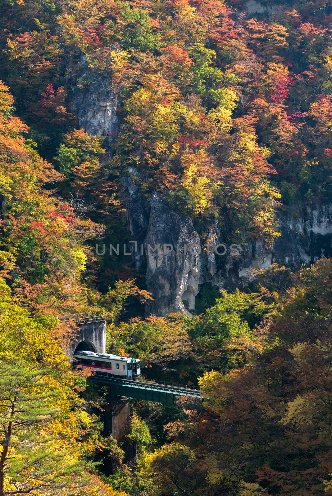 Naruko Gorge valley with rail tunnel in Miyagi Tohoku Japan by vichie81
