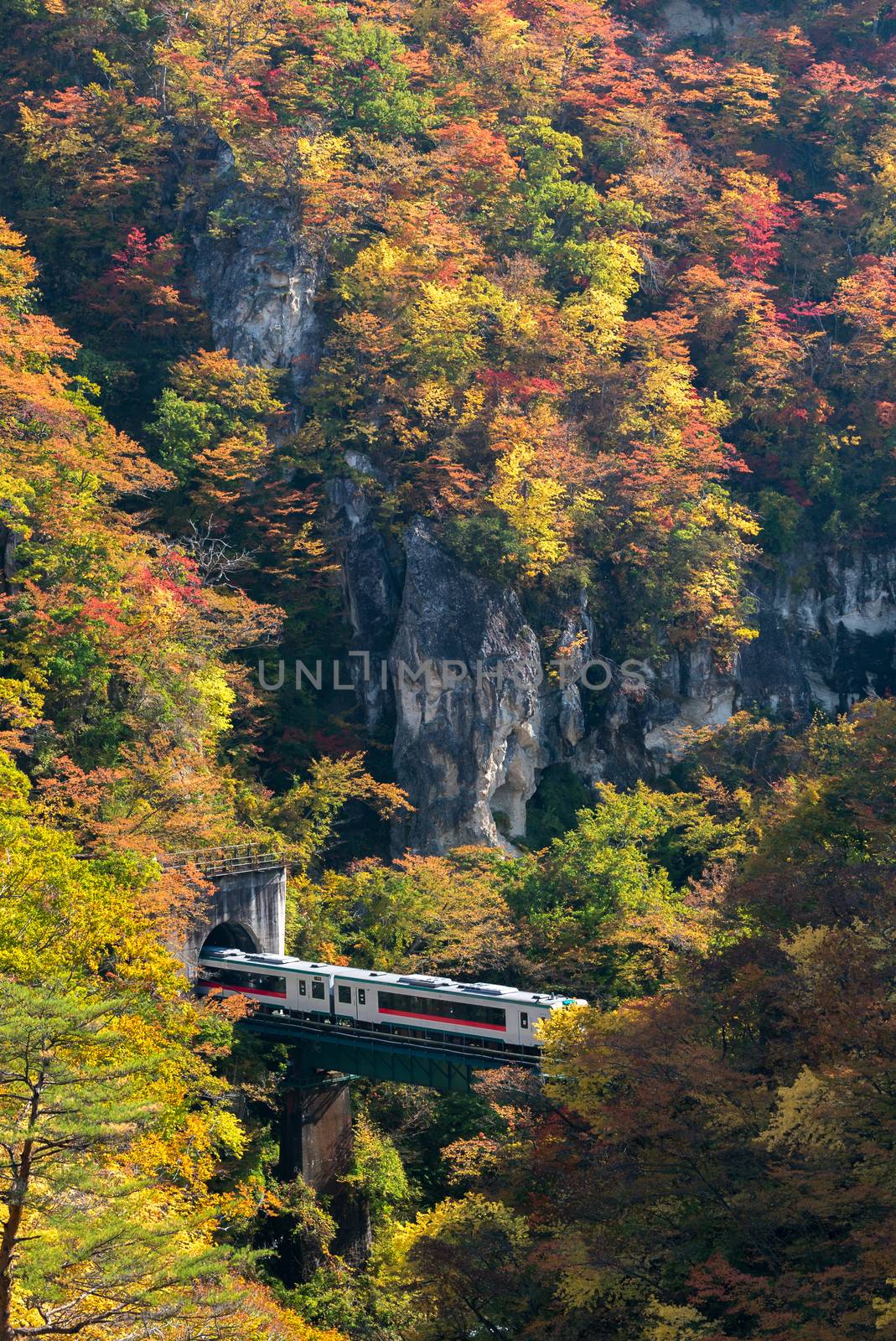 Naruko Gorge valley with rail tunnel in Miyagi Tohoku Japan by vichie81