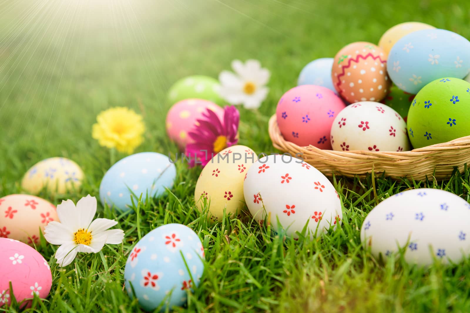 Happy easter!  Closeup Colorful Easter eggs in nest on green grass field during sunset background.