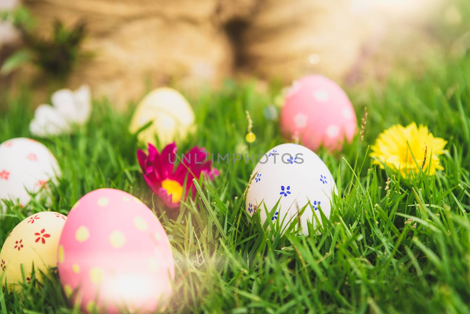 Happy easter!  Closeup Colorful Easter eggs in nest on green grass field during sunset background.