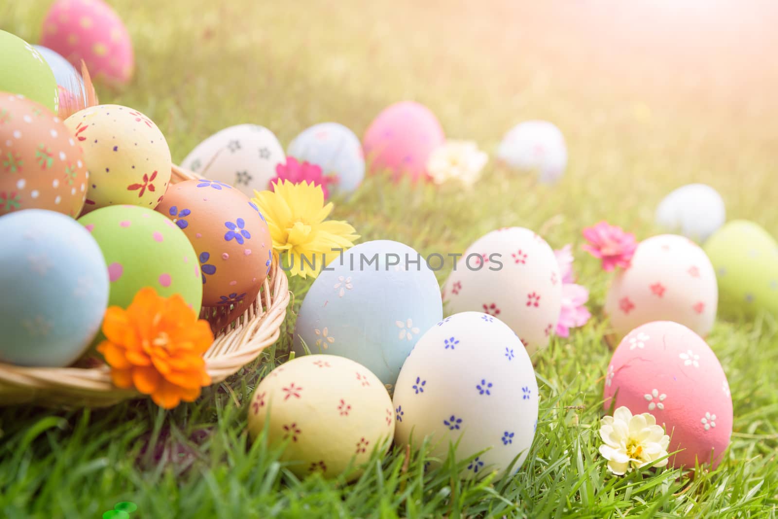 Happy easter!  Closeup Colorful Easter eggs in nest on green grass field during sunset background.