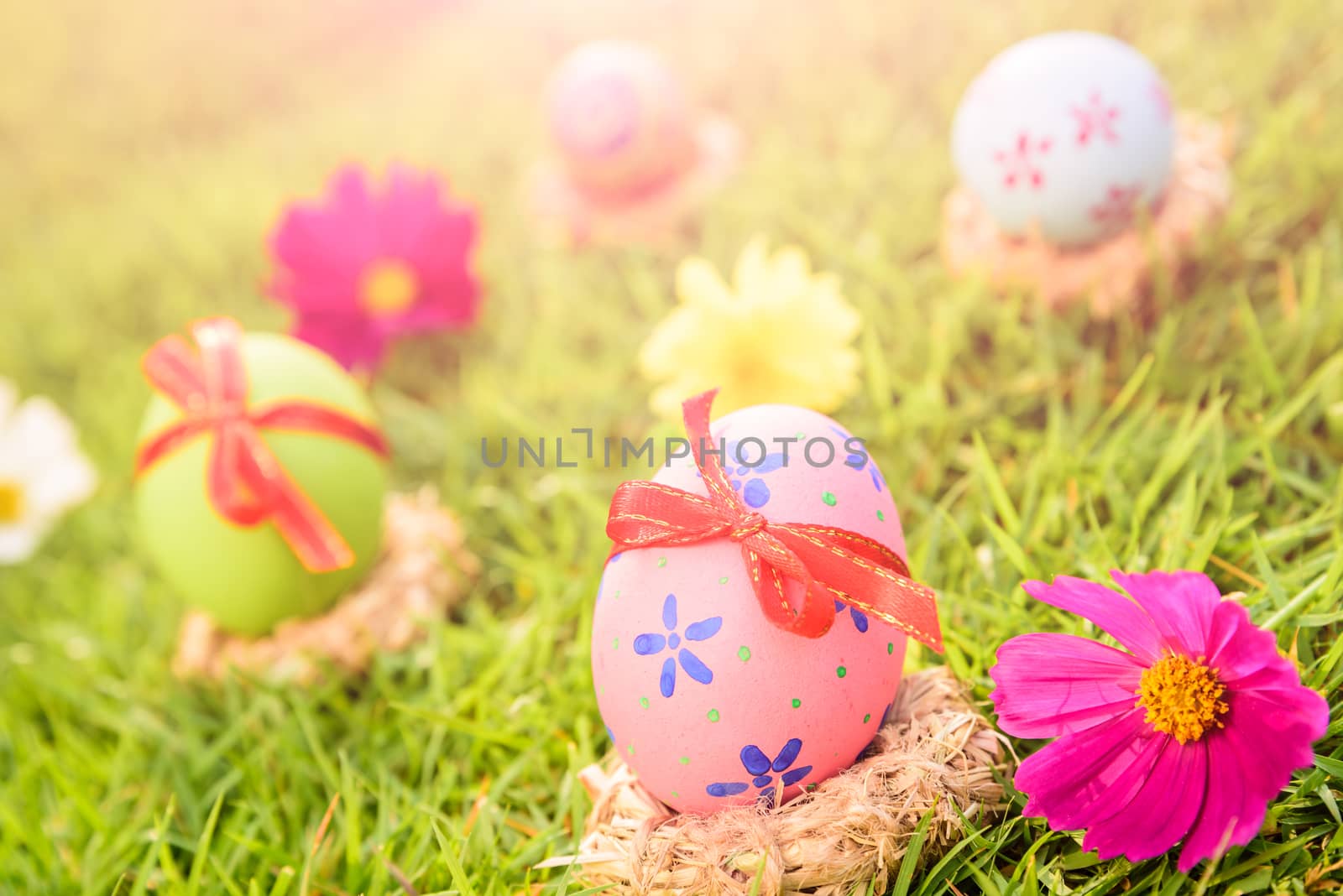 Happy easter!  Closeup Colorful Easter eggs in nest on green grass field during sunset background.