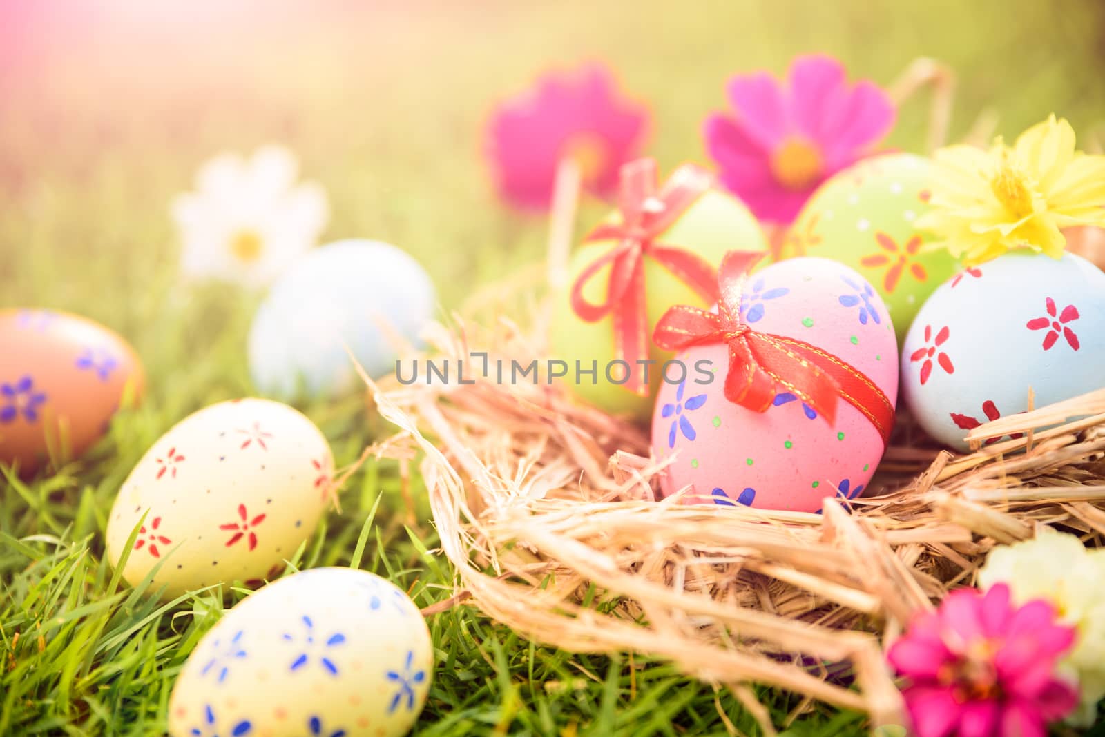 Happy easter!  Closeup Colorful Easter eggs in nest on green grass field during sunset background.