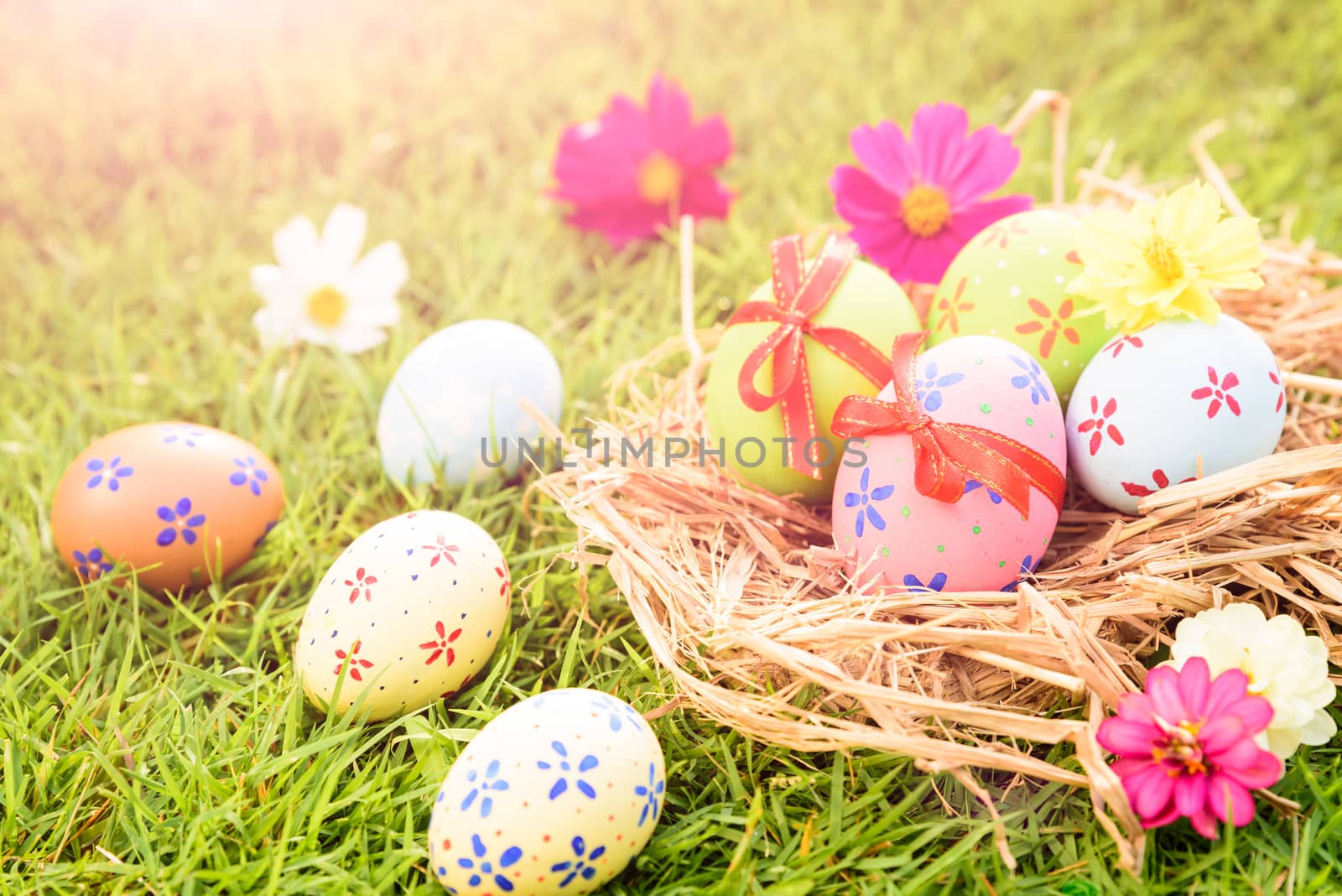 Happy easter!  Closeup Colorful Easter eggs in nest on green grass field during sunset background.