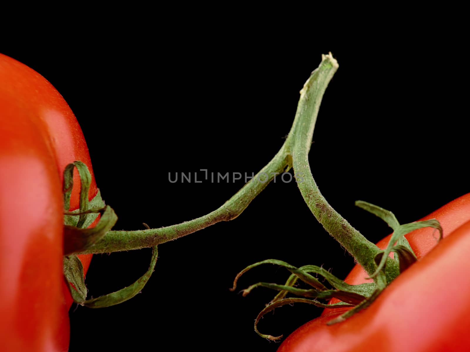 close-up of two fresh red tomatoes on black background