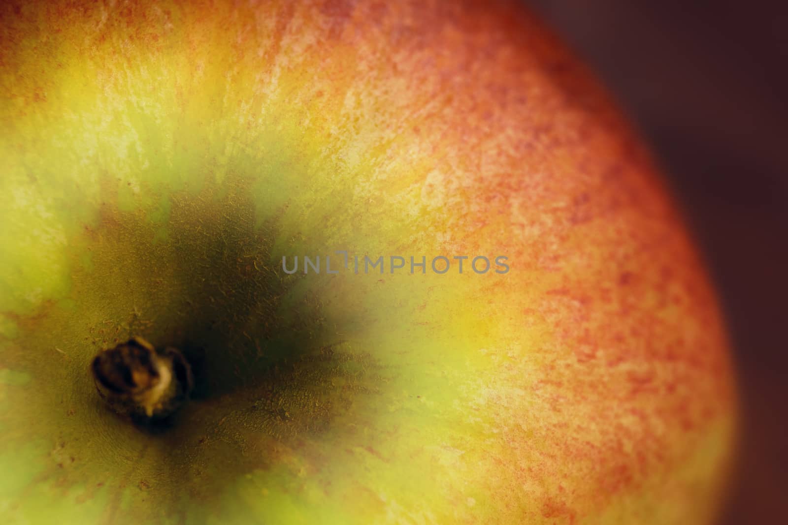 Red and green apple close-up. Fresh fruit.