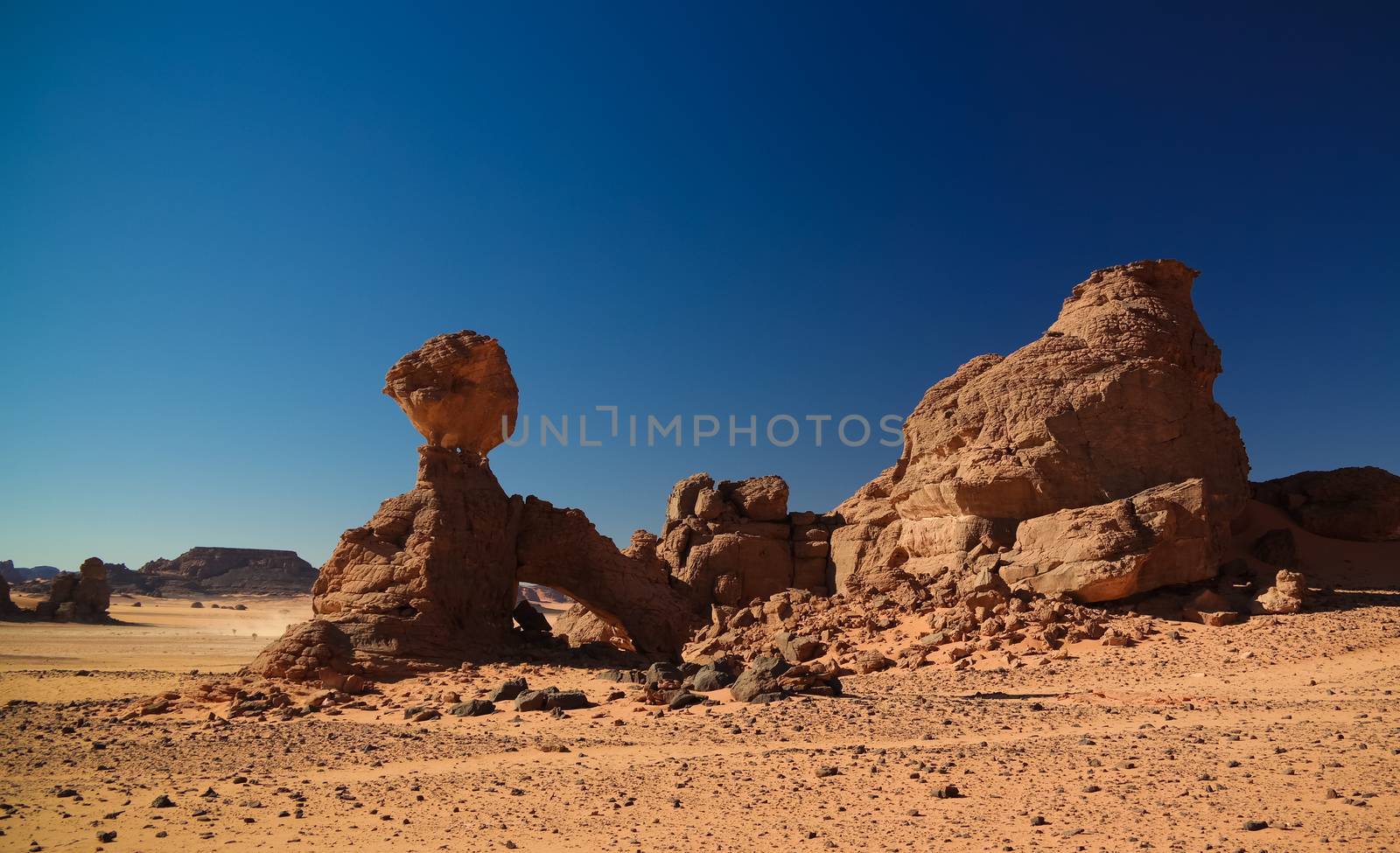 Abstract Rock formation aka pig or hedgehog,Tamezguida, Tassili nAjjer national park, Algeria