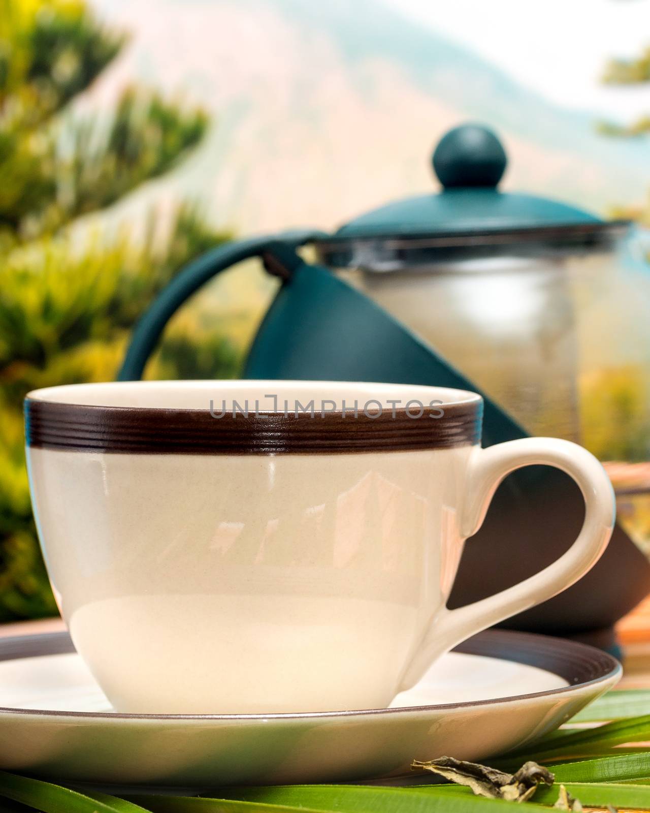 Green Tea Cup Indicating Cafes Drinks And Refreshment