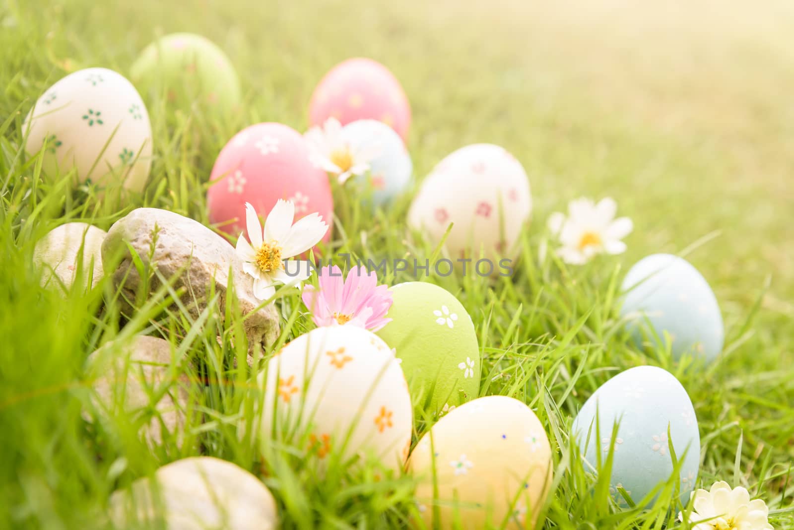 Happy easter!  Closeup Colorful Easter eggs in nest on green grass field during sunset background.