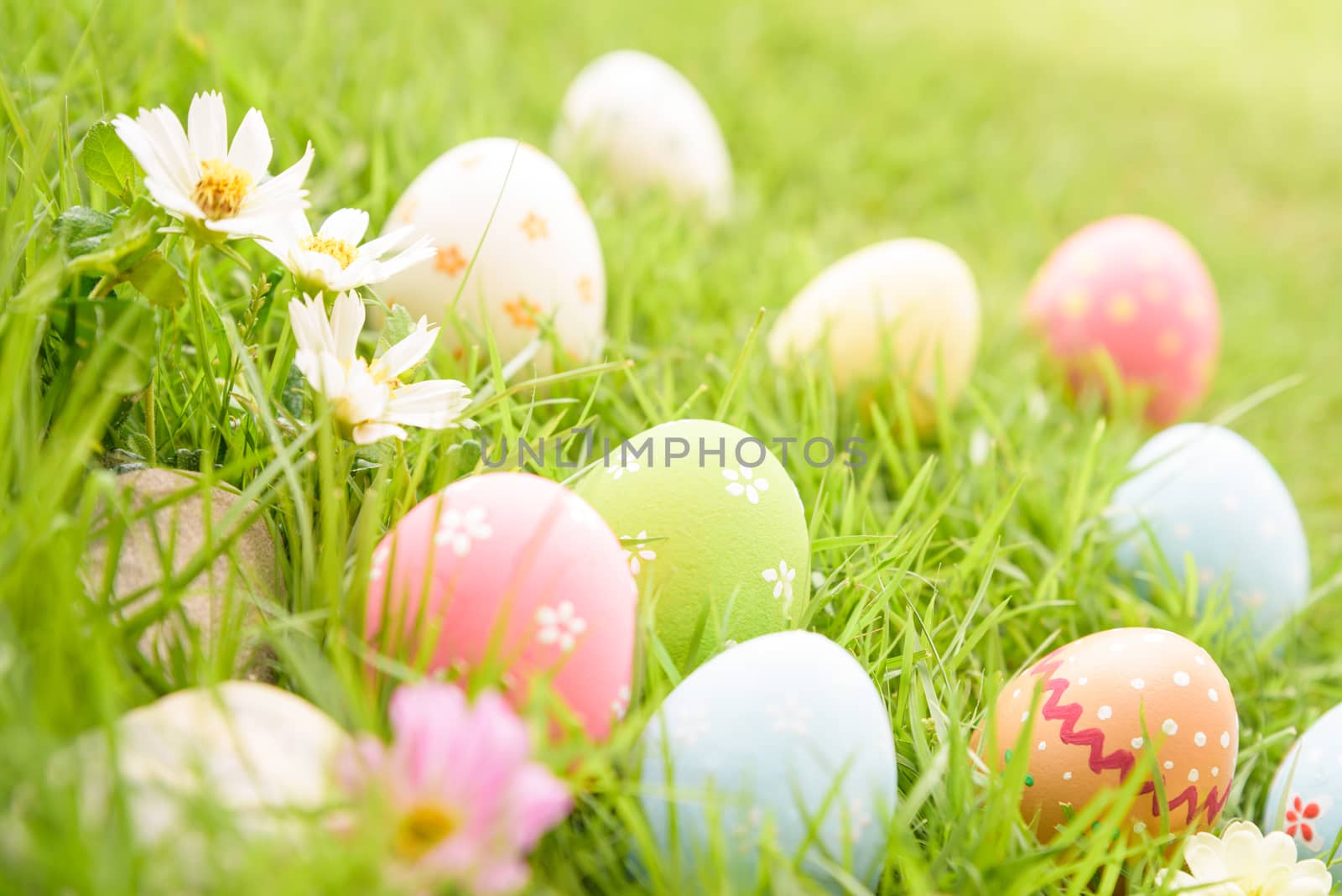 Happy easter!  Closeup Colorful Easter eggs in nest on green gra by spukkato