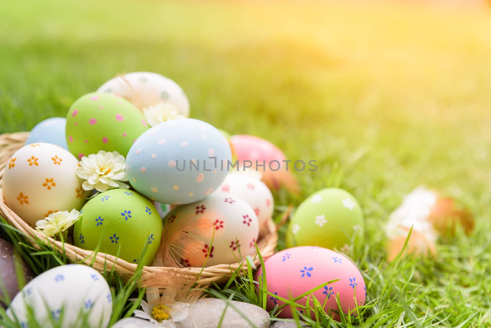 Happy easter!  Closeup Colorful Easter eggs in nest on green grass field during sunset background.