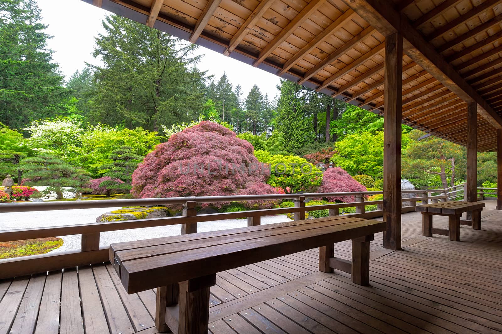 View of Japanese Garden from the Veranda of the Pavilion
