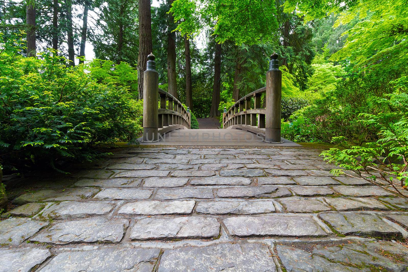 Cobblestone walking path to wooden Bridge at Japanese Garden in Spring Season