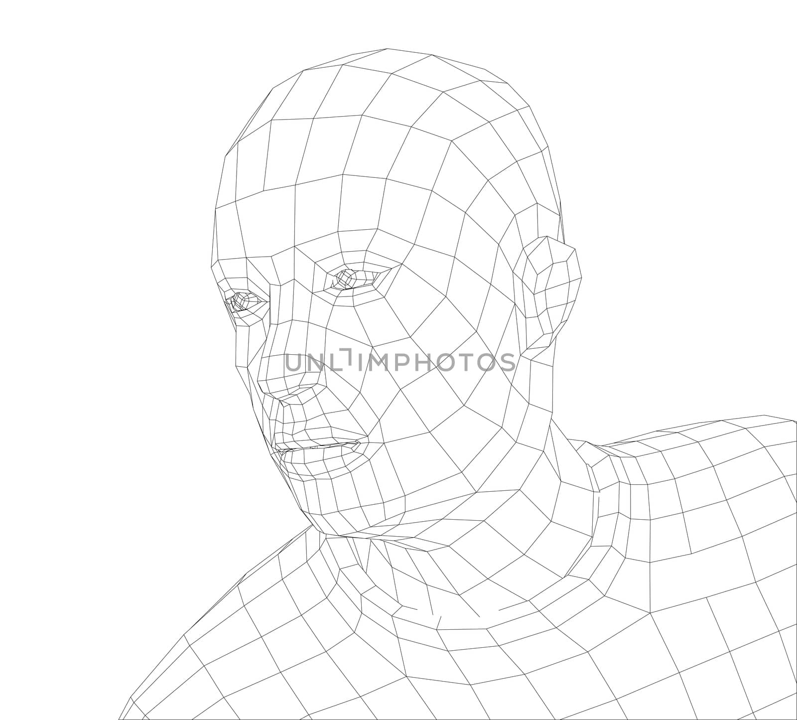 Wire frame mans head by cherezoff
