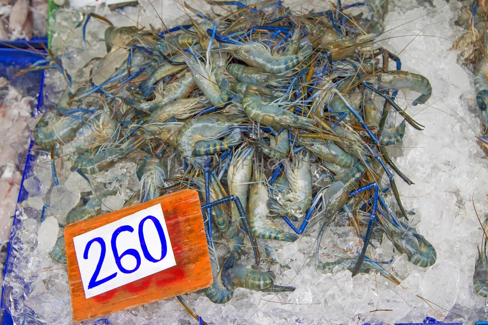 Many live freshwater prawns In the ice Price tag (baht)