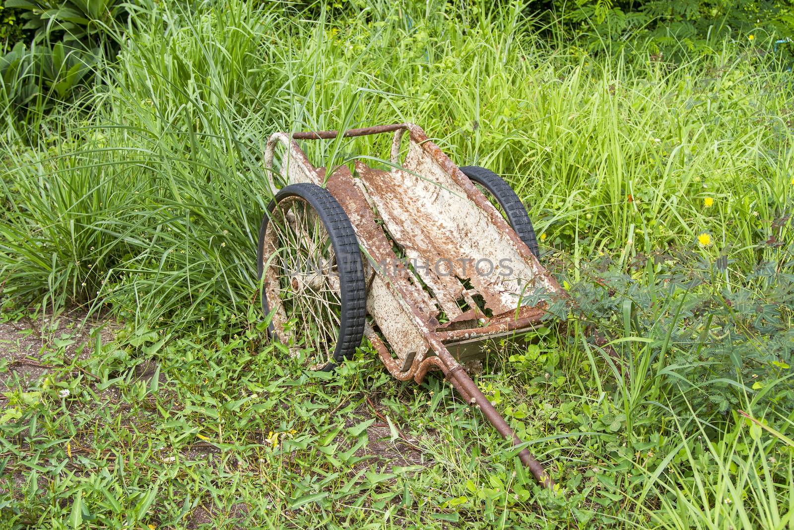 Old rusty trolley is in the grass forest.