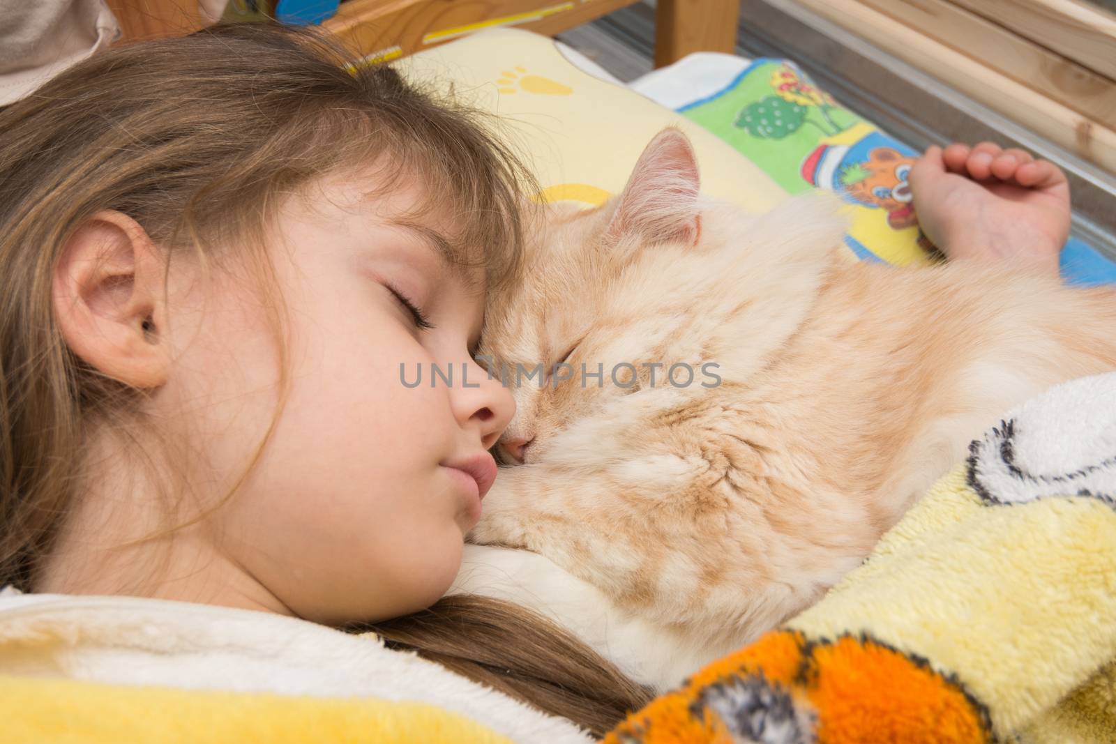 A girl and a cat are sleeping sweetly in bed, close-up