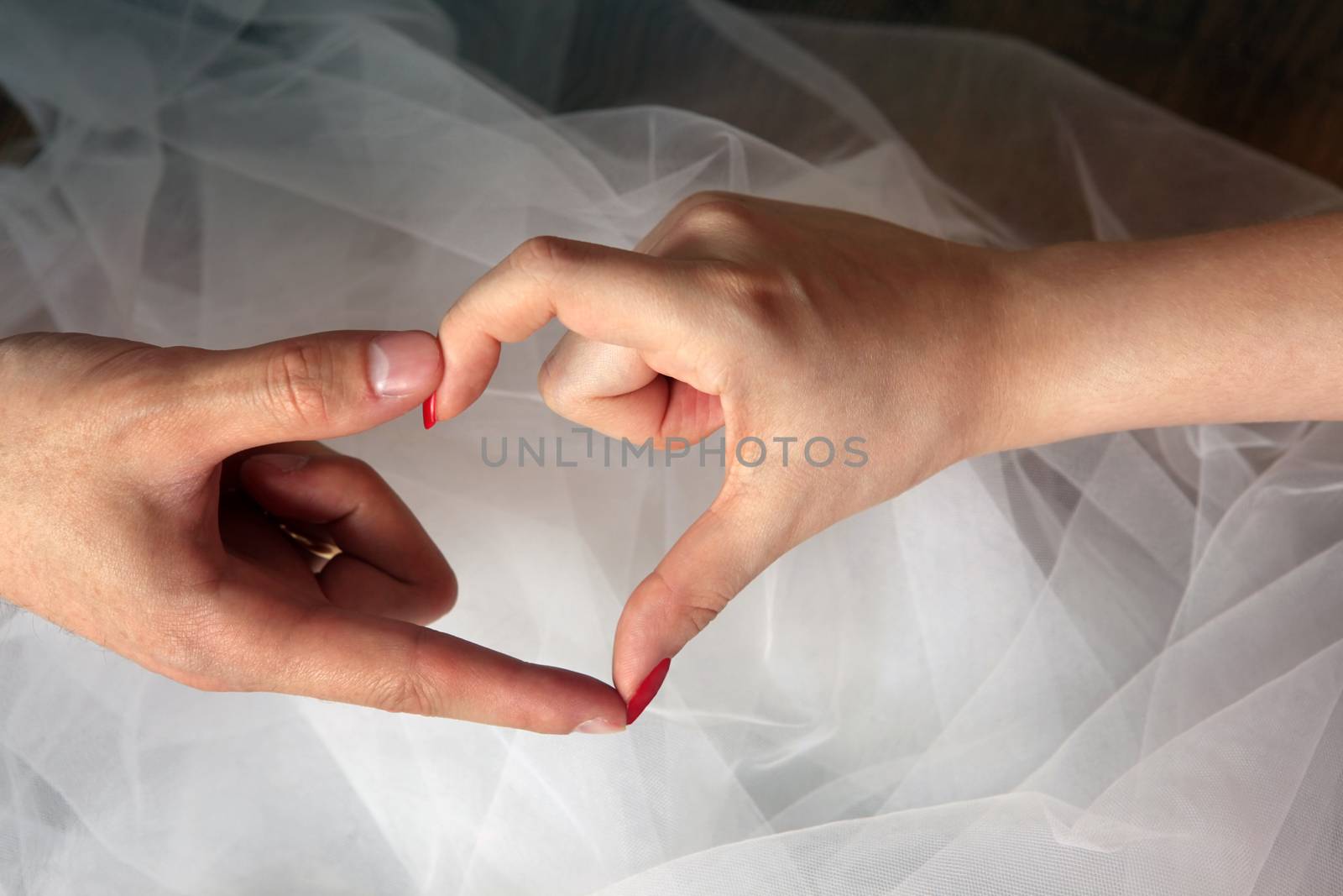 The bride and groom make a heart out of the fingers