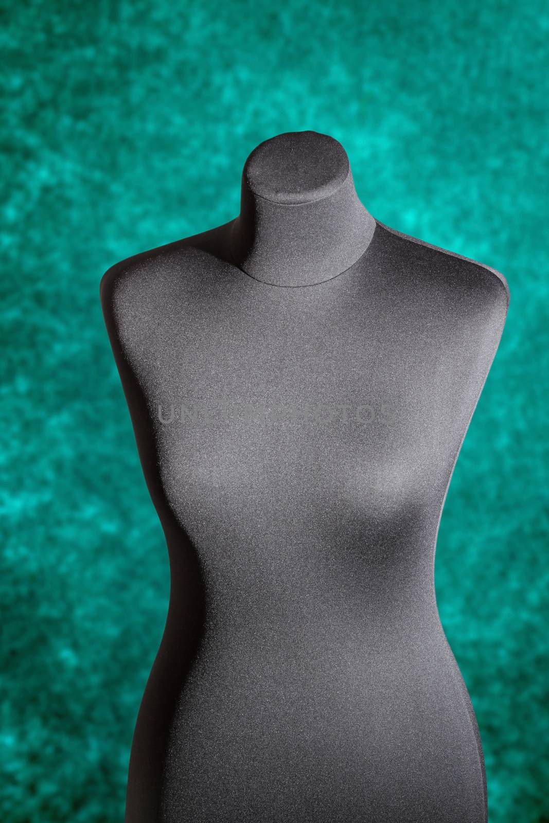 Mannequin female trunk on a green background by fogen