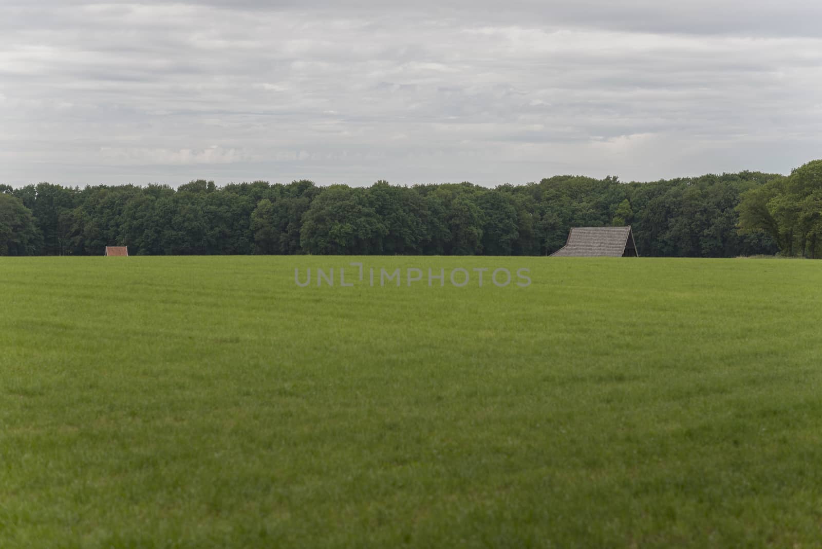 The characteristic half-open farmlands in the Achterhoek near Winterswijk in the Netherlands
