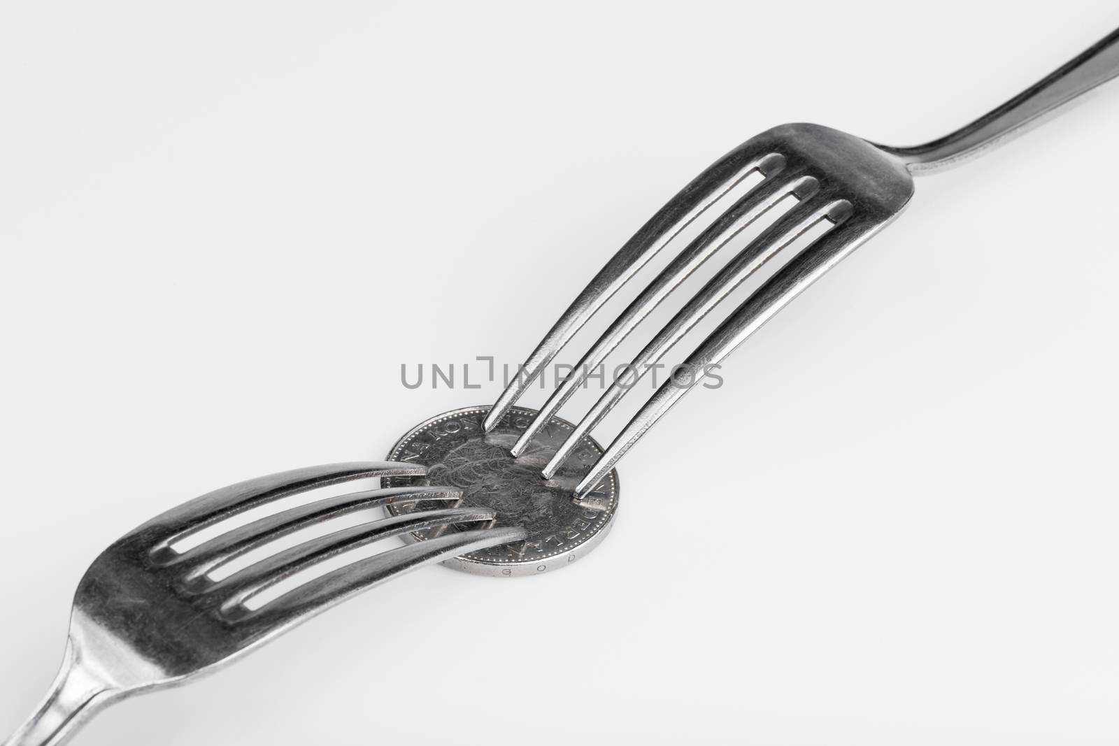 Conceptual representation of financial greed by two forks and coins
