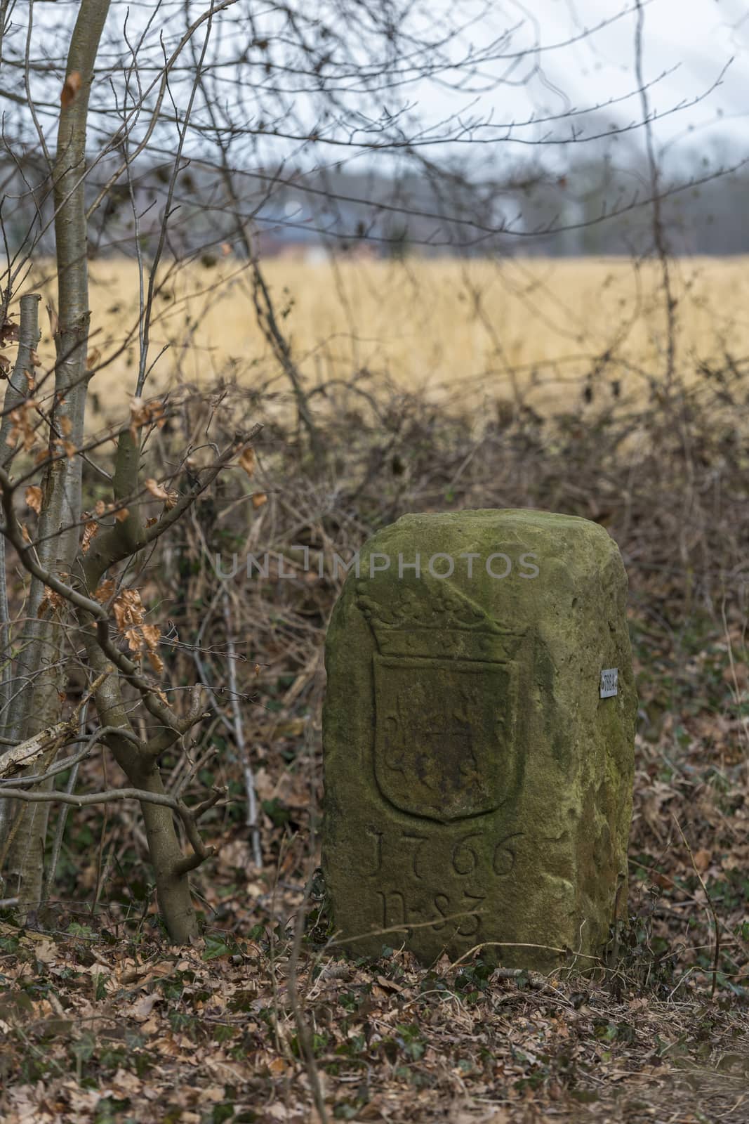 Historical Dutch German boundary stone 
 by Tofotografie