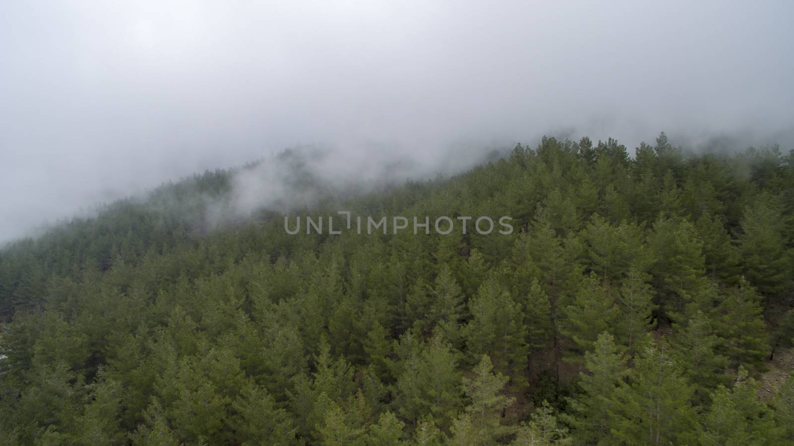 Aerial Shots: Fog Forest and Mountain by oaltindag
