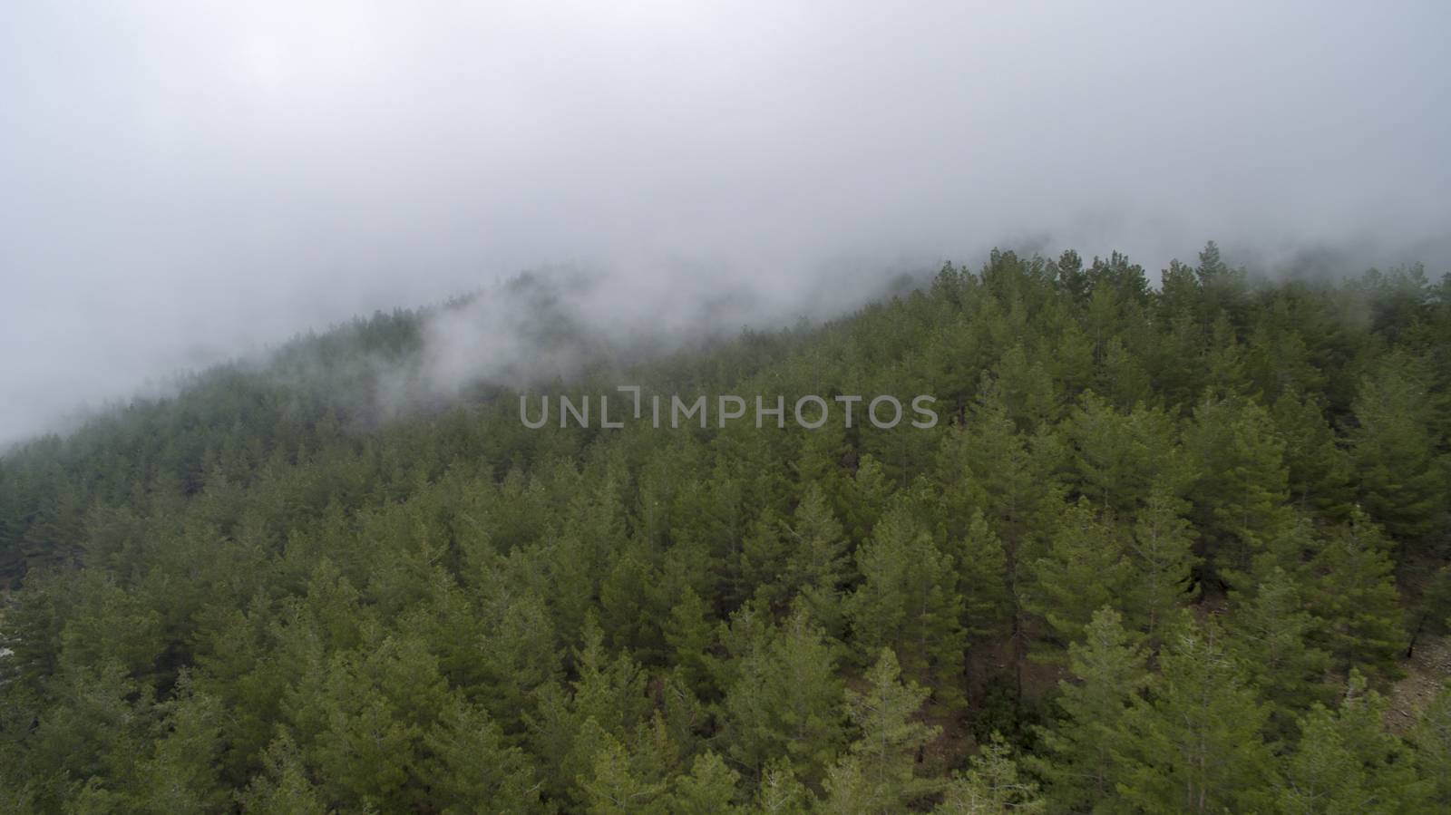 Aerial Shots: Fog Forest and Mountain Antalya Turkey