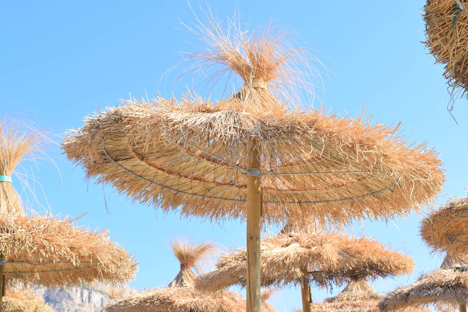 Straw parasols at the beach in summer