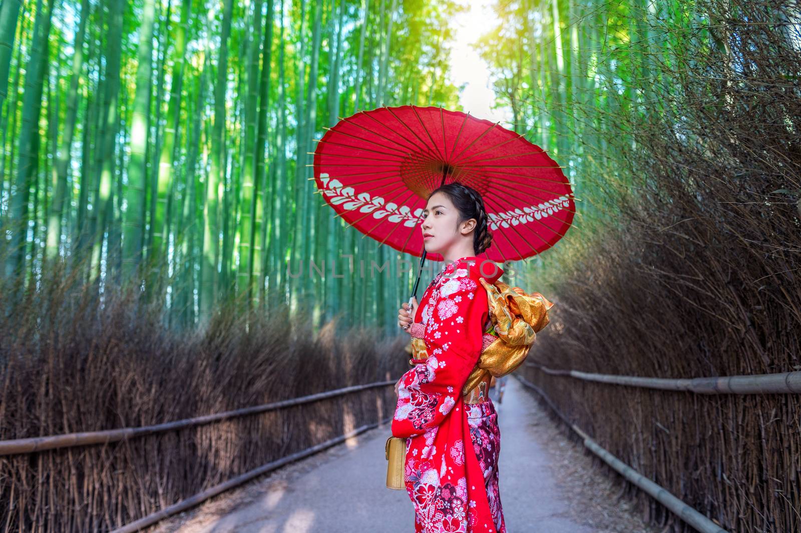 Bamboo Forest. Asian woman wearing japanese traditional kimono at Bamboo Forest in Kyoto, Japan. by gutarphotoghaphy