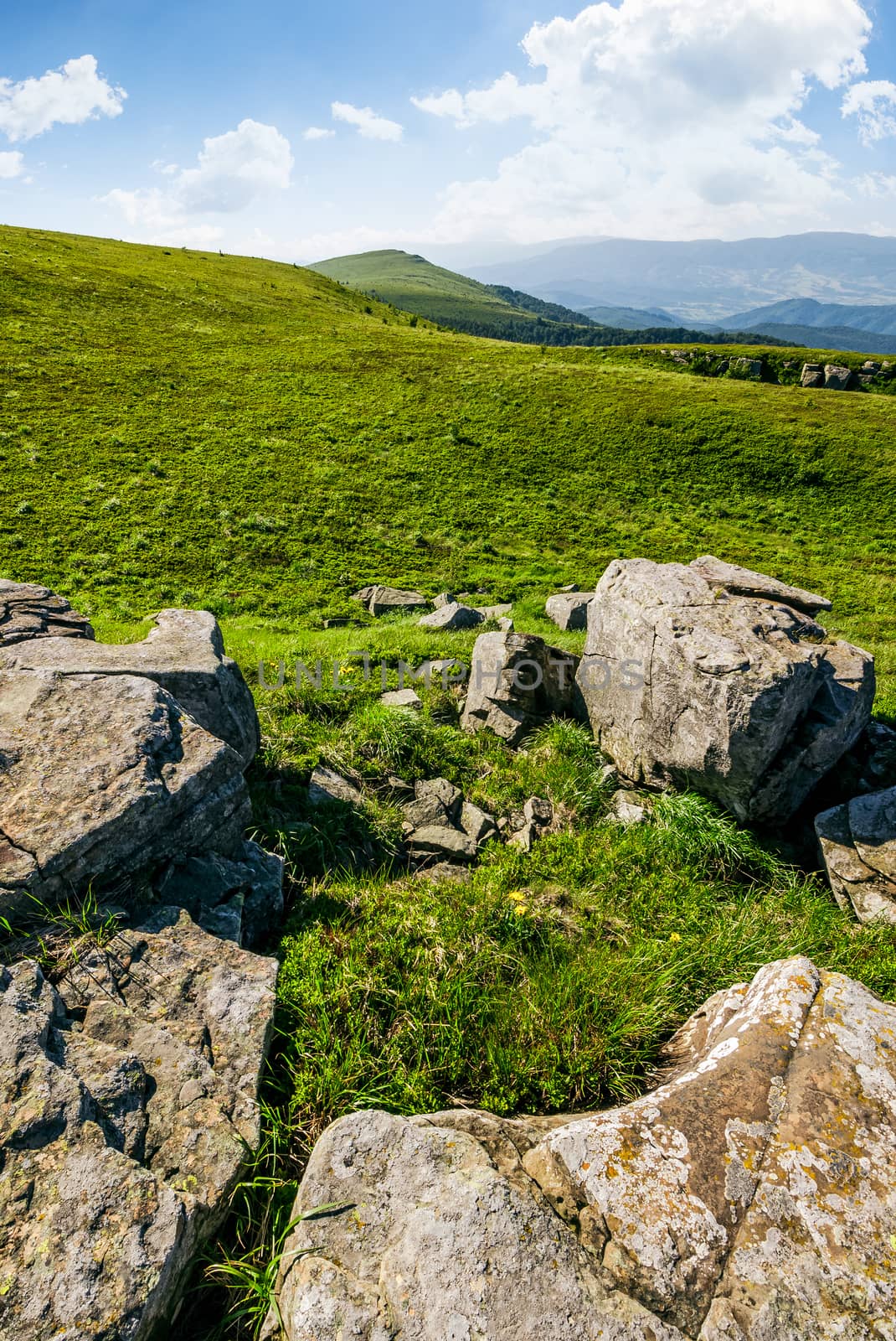 meadow with boulders in Carpathian mountains in summer by Pellinni