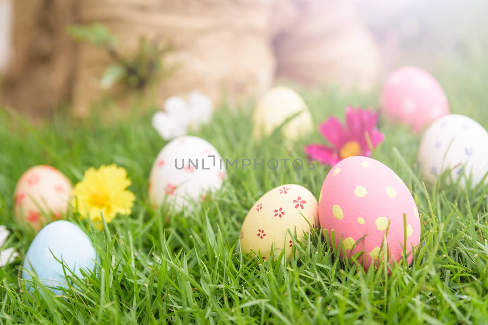 Happy easter!  Closeup Colorful Easter eggs in nest on green grass field during sunset background.