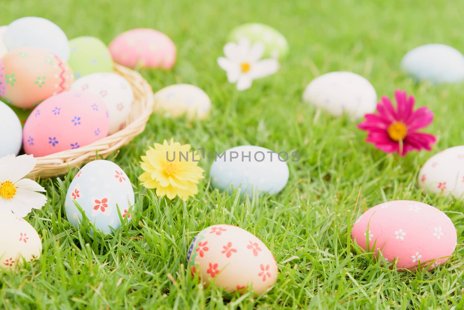 Happy easter!  Closeup Colorful Easter eggs in nest on green grass field during sunset background.