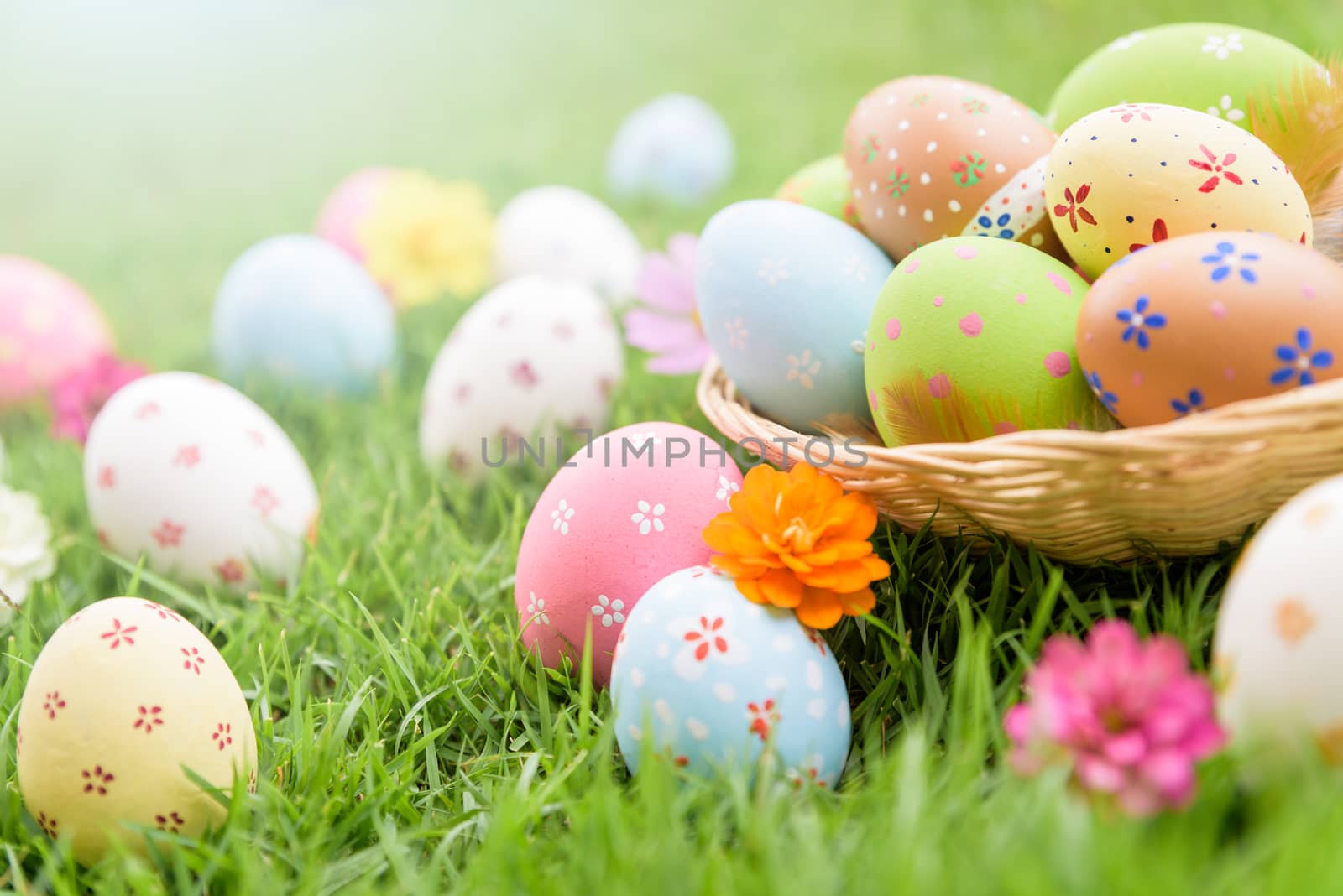 Happy easter!  Closeup Colorful Easter eggs in nest on green grass field during sunset background.