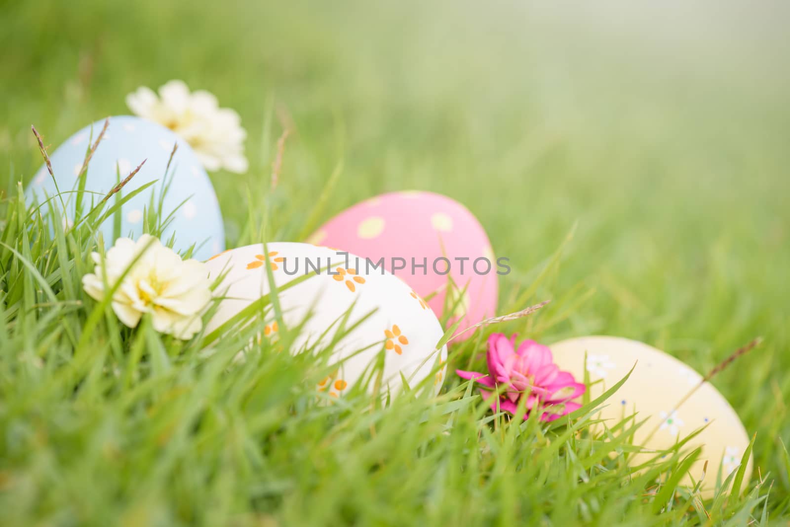 Happy easter!  Closeup Colorful Easter eggs in nest on green gra by spukkato