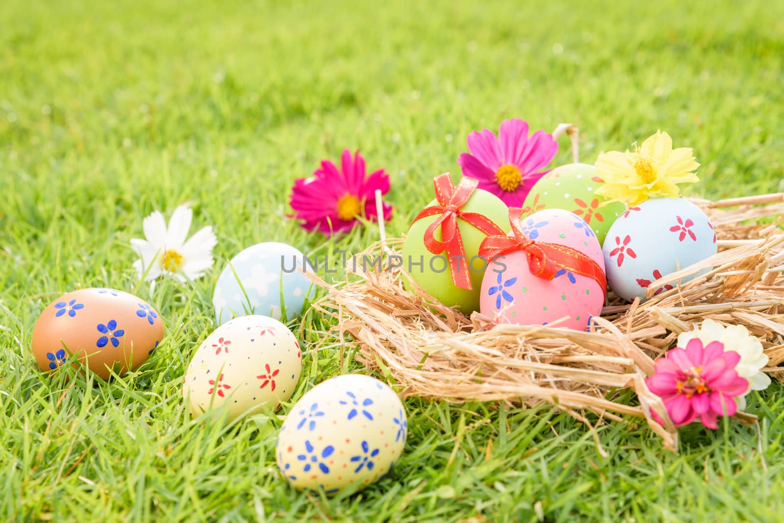 Happy easter!  Closeup Colorful Easter eggs in nest on green grass field during sunset background.