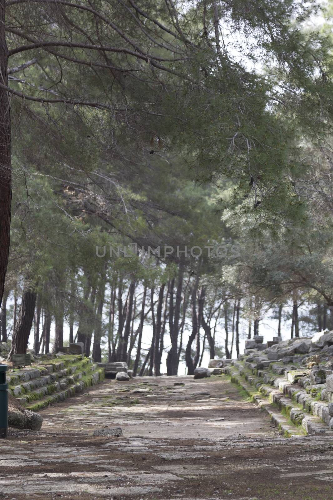 Phaselis Ancient City Bay Road. Antalya Turkey