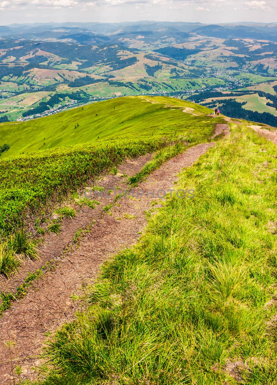 foot path down the grassy hillside. location mountain Gymba, TransCarpathia, Ukraine. tourists climbing hill in the distance. great summer outdoor activities